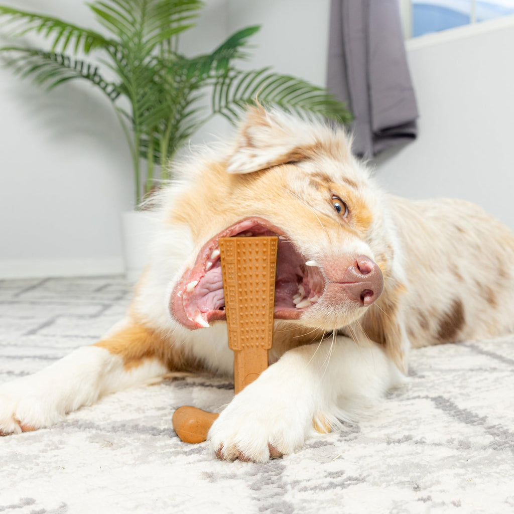 Durable Dog Chew Toy T-Shape – Non-Breakable Textured Gum Toy with Ergonomic Grip for Aggressive Chewers, Puppies & Adult Dogs, Tough Plastic Teeth Cleaning Chew