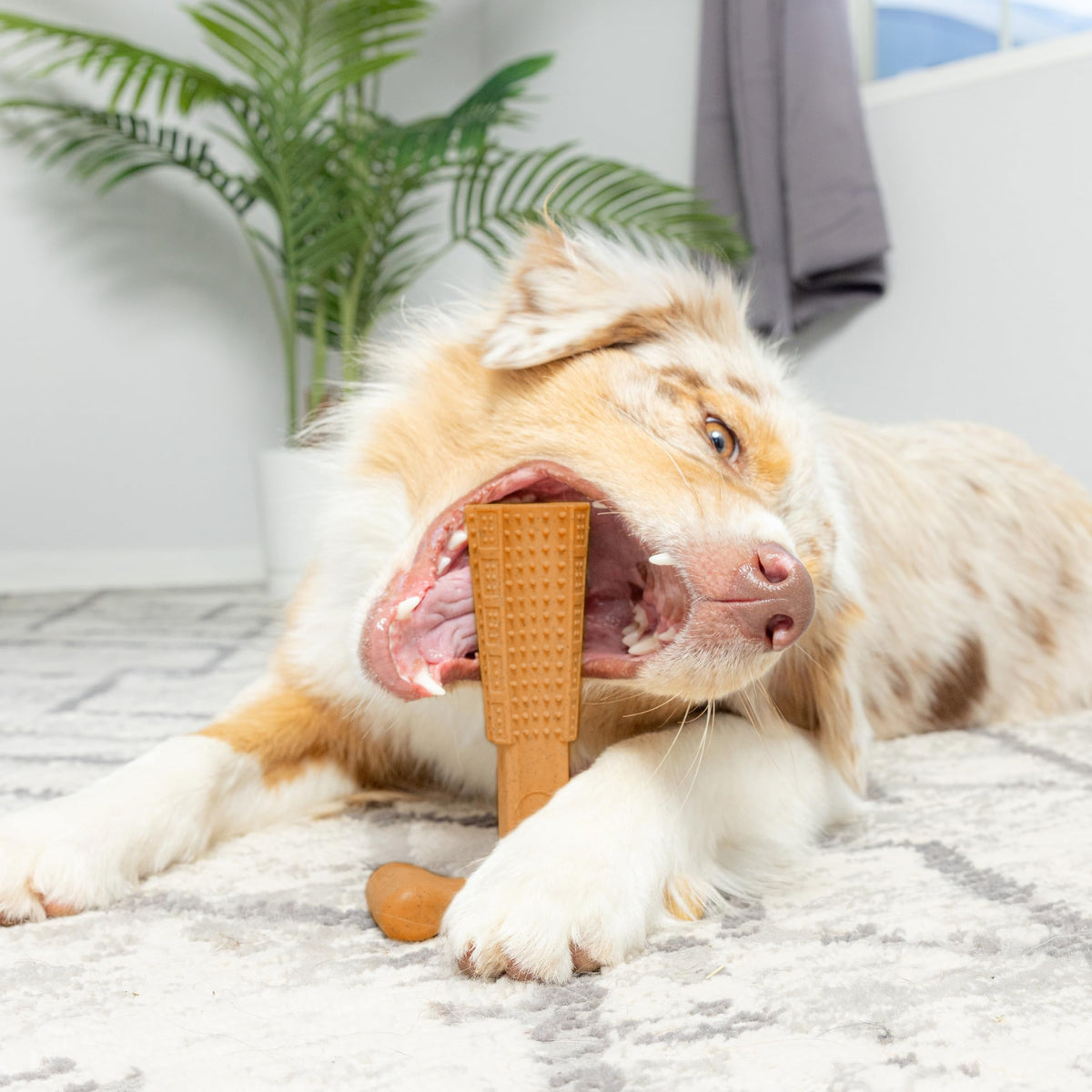 Durable Dog Chew Toy T-Shape – Non-Breakable Textured Gum Toy with Ergonomic Grip for Aggressive Chewers, Puppies & Adult Dogs, Tough Plastic Teeth Cleaning Chew