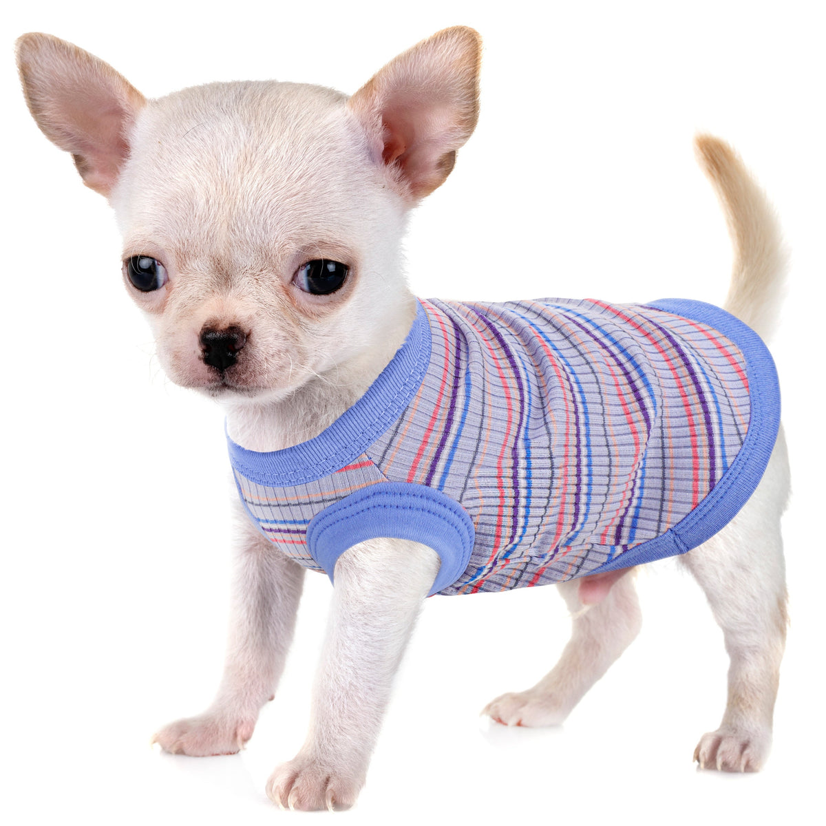 Soft Ribbed Striped Dog Tank Top Vest for Small Dogs - Lightweight Breathable Pullover Dog Shirt for XS to XXL Breeds, Cute Dog Clothes in 11 Colors for Chihuahua Yorkie Pomeranian Daily Wear
