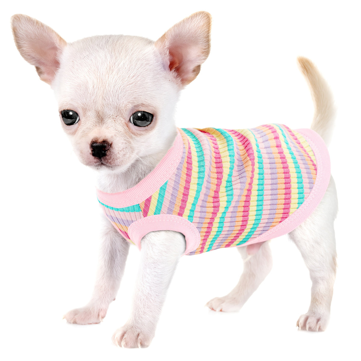 Soft Ribbed Striped Dog Tank Top Vest for Small Dogs - Lightweight Breathable Pullover Dog Shirt for XS to XXL Breeds, Cute Dog Clothes in 11 Colors for Chihuahua Yorkie Pomeranian Daily Wear