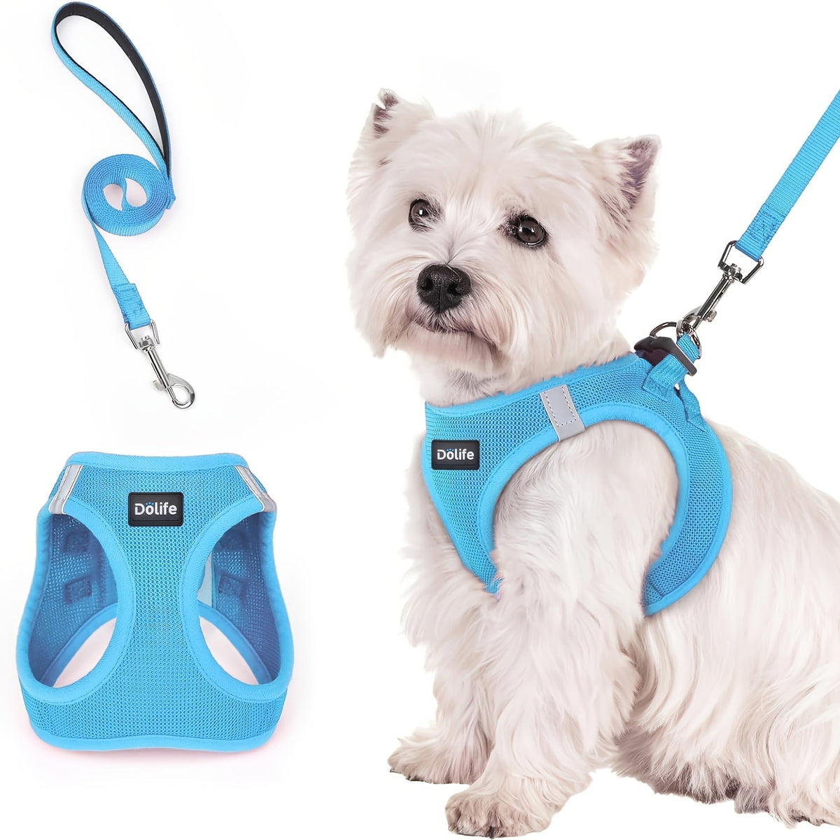 Step-In Dog Harness and Leash Set for Small Dogs & Puppies - Breathable Mesh Reflective Soft Lightweight No-Pull Pet Vest Harness with Matching Leash XS S M L XL