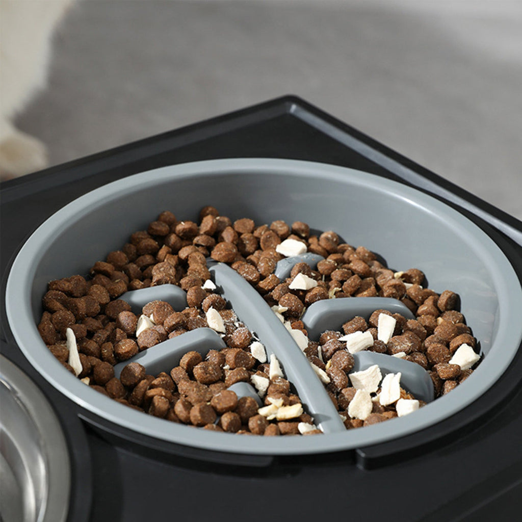 Personalized Raised Dog Bowl Stainless Steel with Slow Feeder & Height-Adjustable Double Dog Food Water Bowl for Medium Large Dogs and Cats