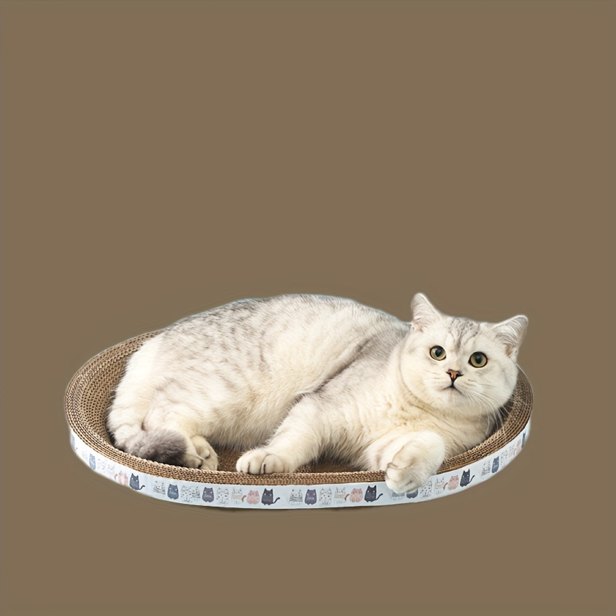 Oval Cat Scratcher Lounge Durable Corrugated Cardboard Cat Scratch Pad Cozy Cat Bed for Scratching Relaxation and Play Indoor Cats Kittens Cat Furniture