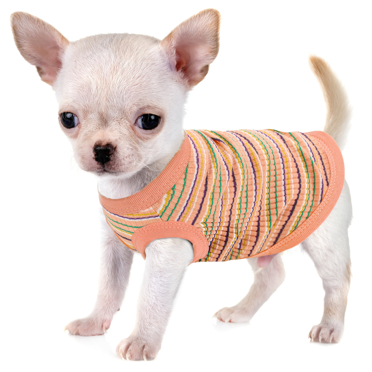 Soft Ribbed Striped Dog Tank Top Vest for Small Dogs - Lightweight Breathable Pullover Dog Shirt for XS to XXL Breeds, Cute Dog Clothes in 11 Colors for Chihuahua Yorkie Pomeranian Daily Wear