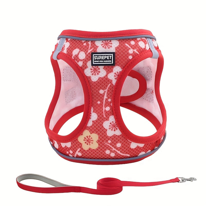 No-Pull Dog Harness and Leash Set for Small to Medium Dogs - Soft Mesh Reflective Adjustable Puppy Vest Harness for Walking Running and Training, Escape-Proof Pet Harness