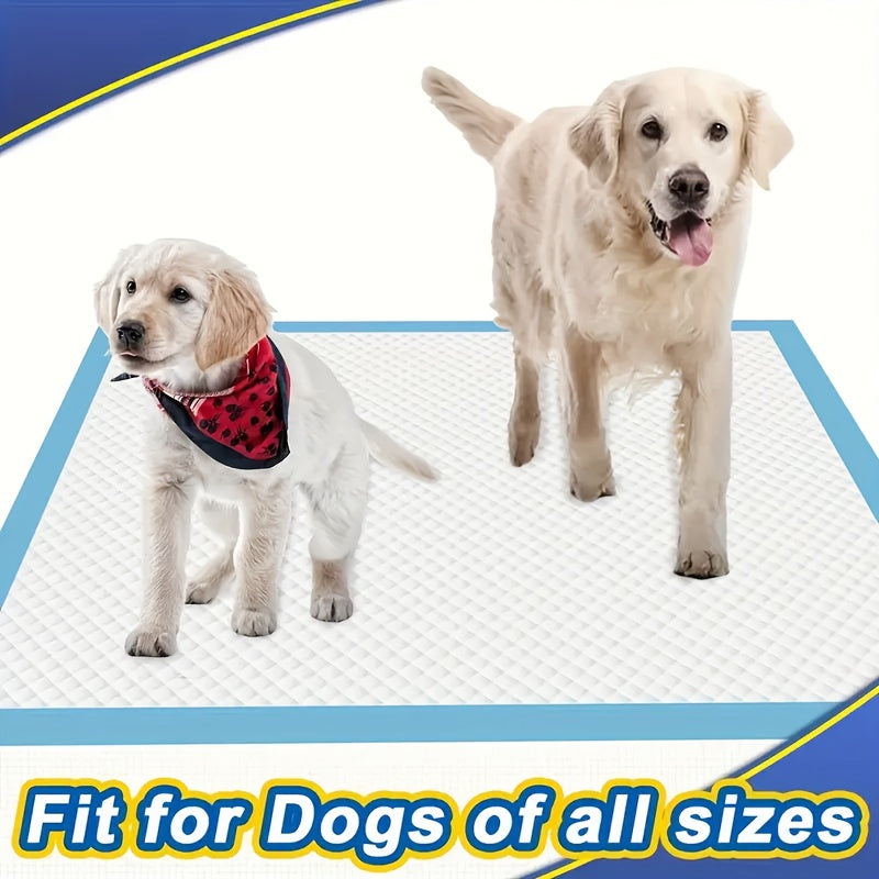 XXXL Disposable Dog Pee Pads 6-Layer Super Absorbent - Waterproof Odor-Resistant Training Pads for Small Large and Elderly Dogs, Bulk 80 & 100 Count, Leak-Proof Puppy Potty Pads