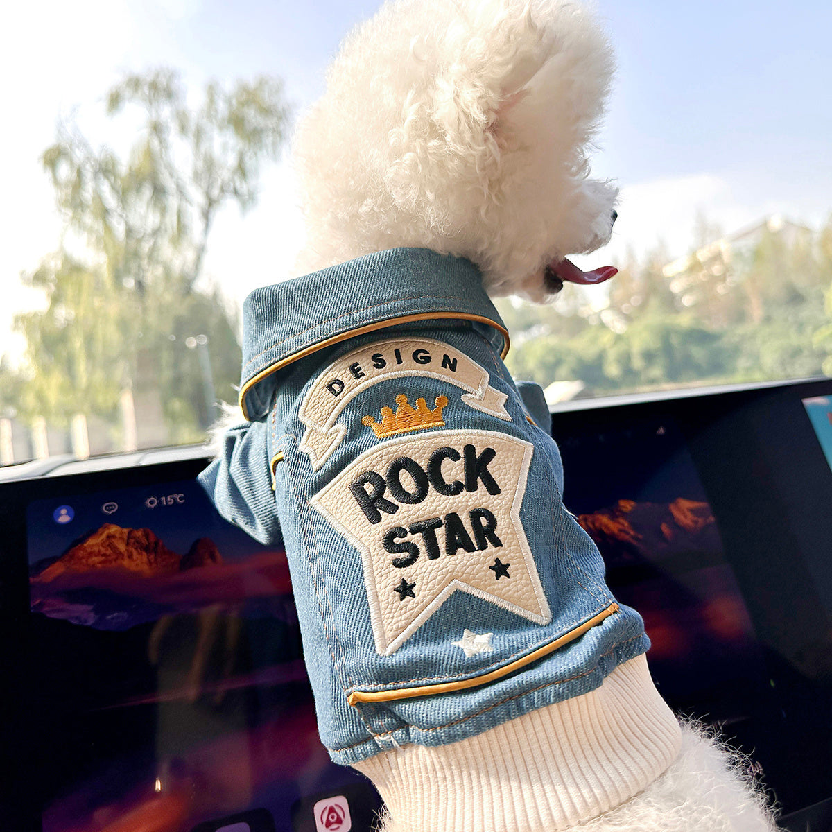 Small Dog Denim Outfit Rock Style – Imitation Denim Casual Fashion Pet Clothes for Small Dogs, Comfortable Streetwear Jacket XS to XL, Blue Trendy Dog Apparel for Daily Wear & Outdoor Outings