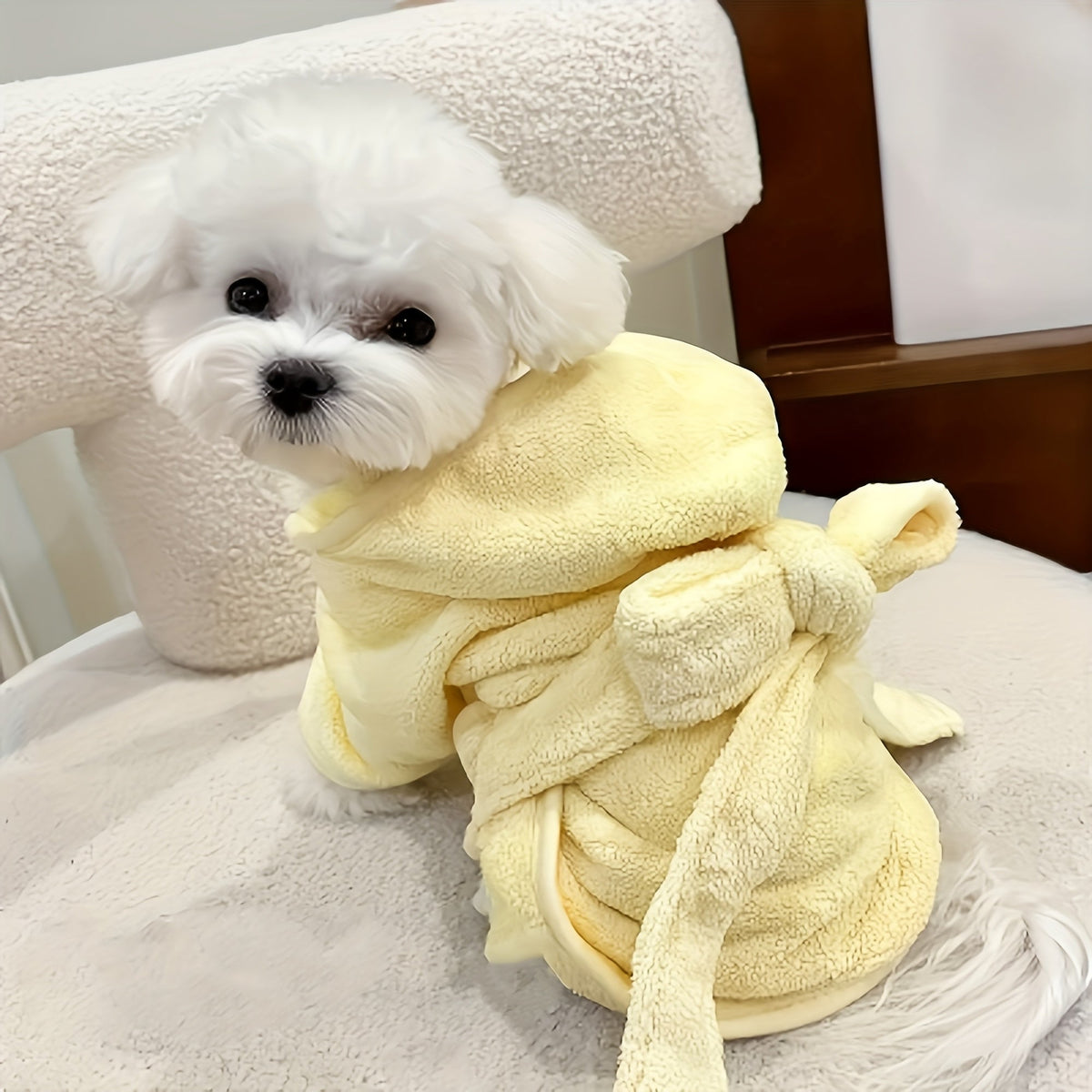 Ultra-Absorbent Pet Bathrobe for Dogs and Cats - Quick-Dry Soft Microfiber Towel Robe with Secure Closure for Small Dogs Cats and Kittens, All-Season Comfort, 6 Colors & Sizes S M L