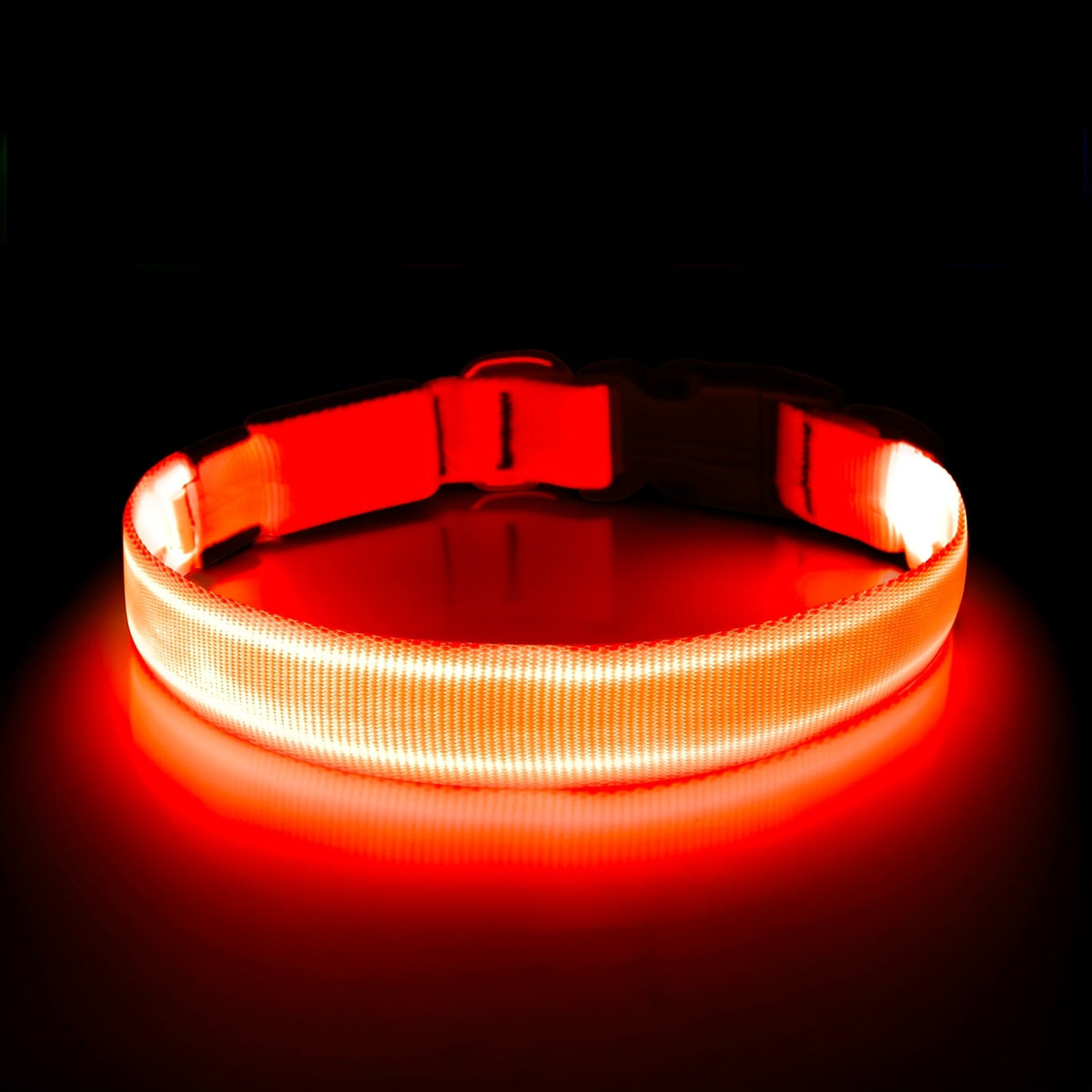 LED Dog Collar Light Up USB Rechargeable - Adjustable Nylon Glow Safety Collar with D-Ring Buckle for Small Medium Large Dogs, High Visibility Night Walking Dog Collar