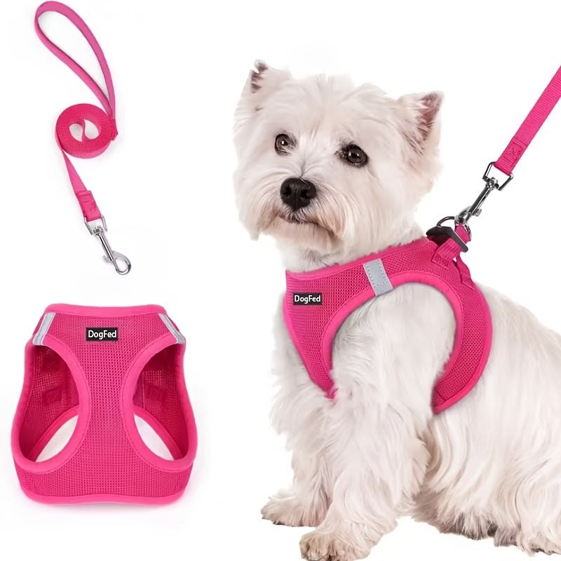 Walk-In Dog Harness and Leash Set for Small Dogs & Puppies - Breathable Mesh Reflective Soft Lightweight Pet Vest Harness, All-Weather No-Pull Dog Harness for Daily Walks & Outdoor Adventures