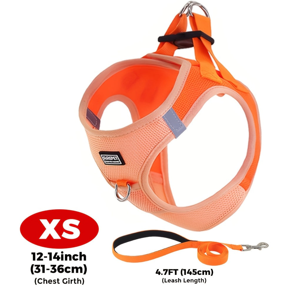 Small Dog Harness and Leash Combo Set - Soft Mesh Step-In Chest Harness for Small Dogs, Comfortable Breathable Pet Vest Harness with Matching Leash for Walking, Jogging & Training