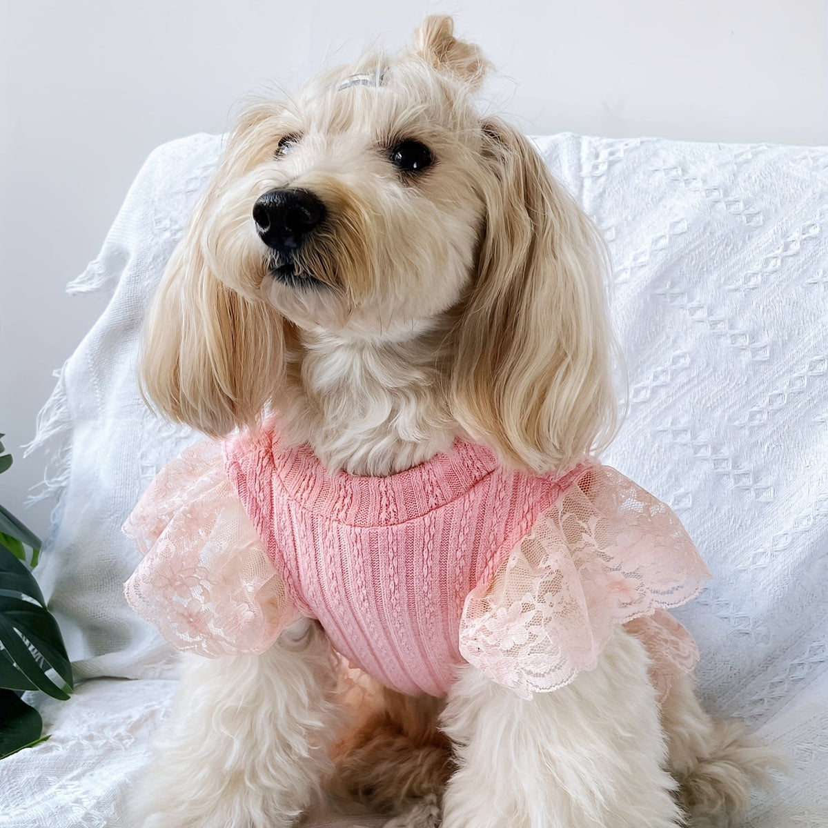 High Neck Flutter Sleeve Knit Dress for Dogs and Cats – Warm Autumn Winter Pet Sweater Dress, Soft Knit Pullover Skirt for Small Medium Pets, S M L XL, Pink Cozy Holiday Pet Outfit