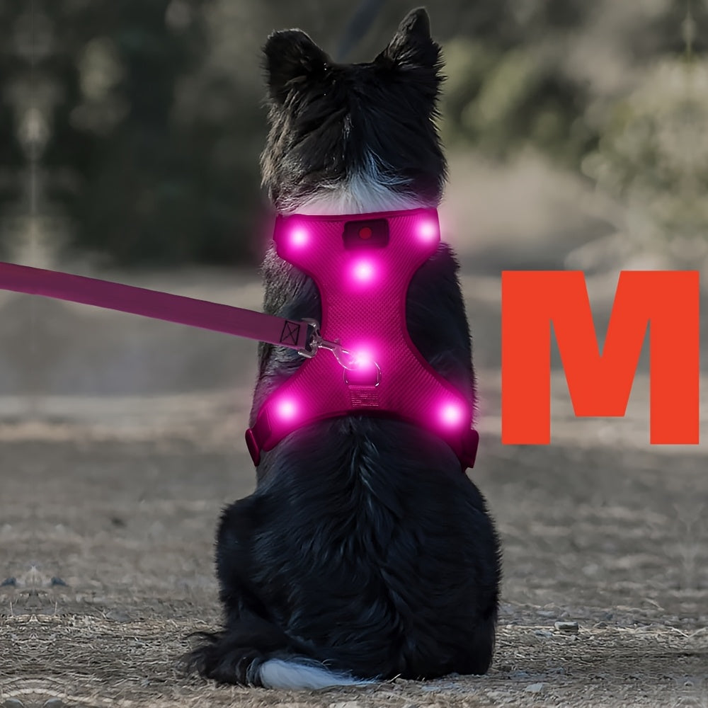 LED Light Up Dog Harness No Pull - Rechargeable Washable Glowing Dog Vest Harness with Detachable Battery for Safe Night Walking and Camping, 4 Colors & Sizes S M L for Small Medium Large Dogs
