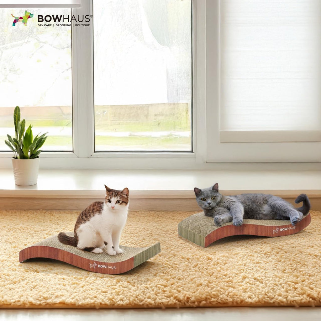 CAPHAUS Reversible Cat Scratcher Lounger – Large 5-Layer High-Density Cardboard Scratching Pad & Board, 16.9 x 8.5 Inch, Protects Furniture, Fits Multi-Cat Households & Large Paw Breeds