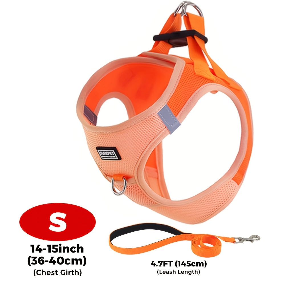 Small Dog Harness and Leash Combo Set - Soft Mesh Step-In Chest Harness for Small Dogs, Comfortable Breathable Pet Vest Harness with Matching Leash for Walking, Jogging & Training