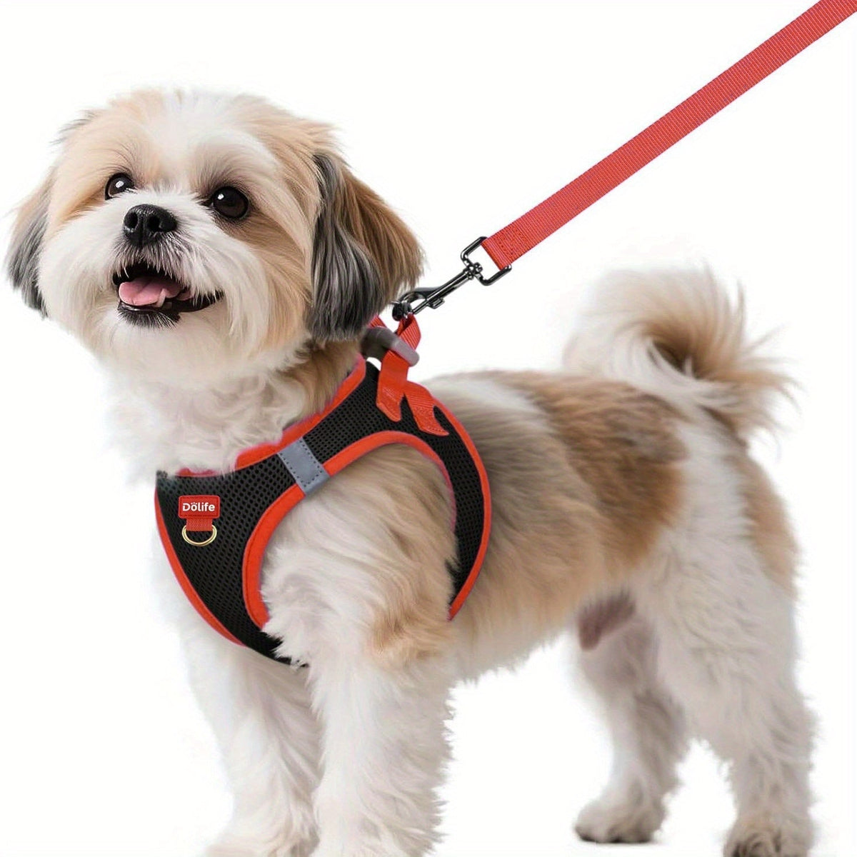Step-In Dog Harness and Leash Set for Small Dogs - Soft Breathable Puppy Vest Chest Harness with Night Reflective Strips, Machine Washable Easy On Pet Harness for Small Breeds