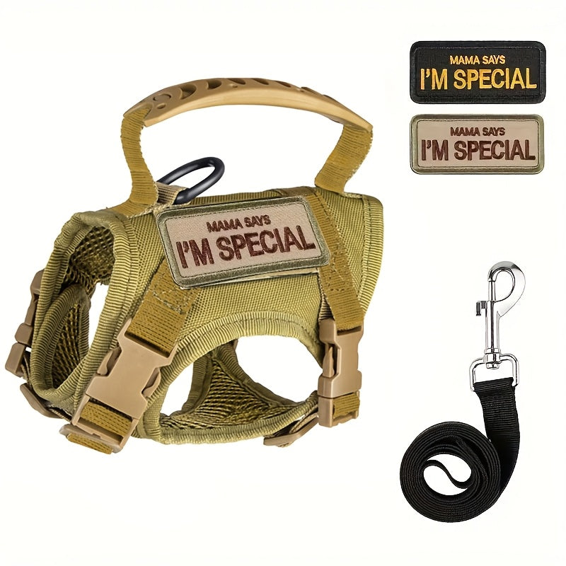 Escape-Proof Cat Harness with Leash – No-Pull Soft Breathable Mesh Vest Harness for Outdoor Cat Walking & Control, Adjustable Secure Fit for Cats of All Sizes