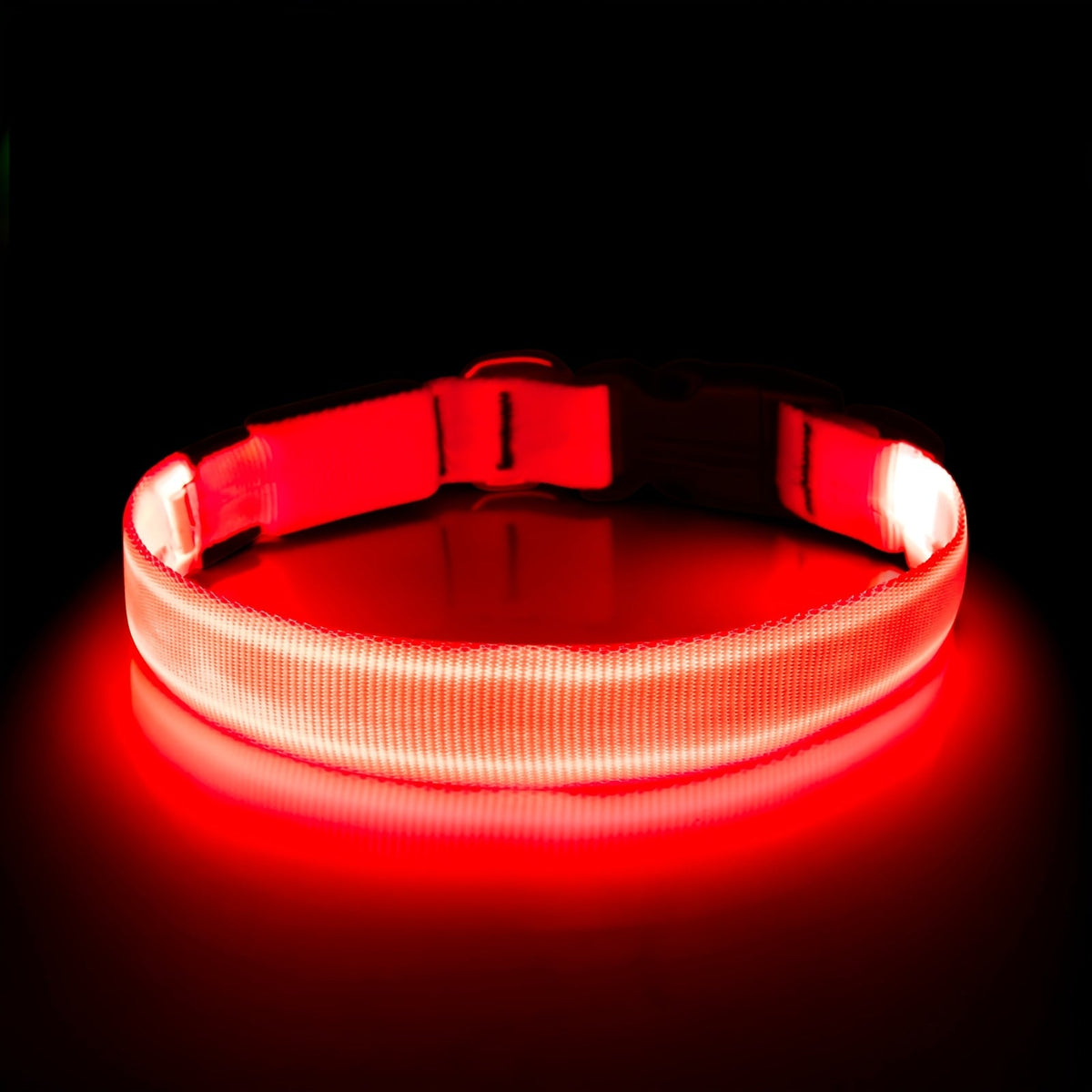 LED Dog Collar Light Up USB Rechargeable - Adjustable Nylon Glow Safety Collar with D-Ring Buckle for Small Medium Large Dogs, High Visibility Night Walking Dog Collar