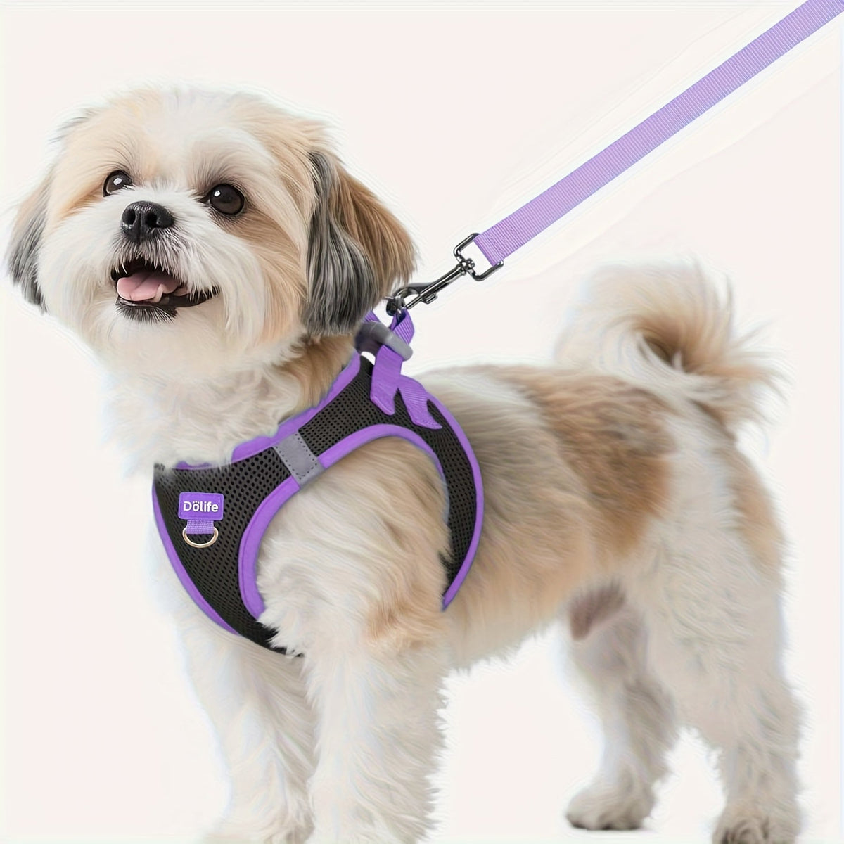 Step-In Dog Harness and Leash Set for Small Dogs - Soft Breathable Puppy Vest Chest Harness with Night Reflective Strips, Machine Washable Easy On Pet Harness for Small Breeds
