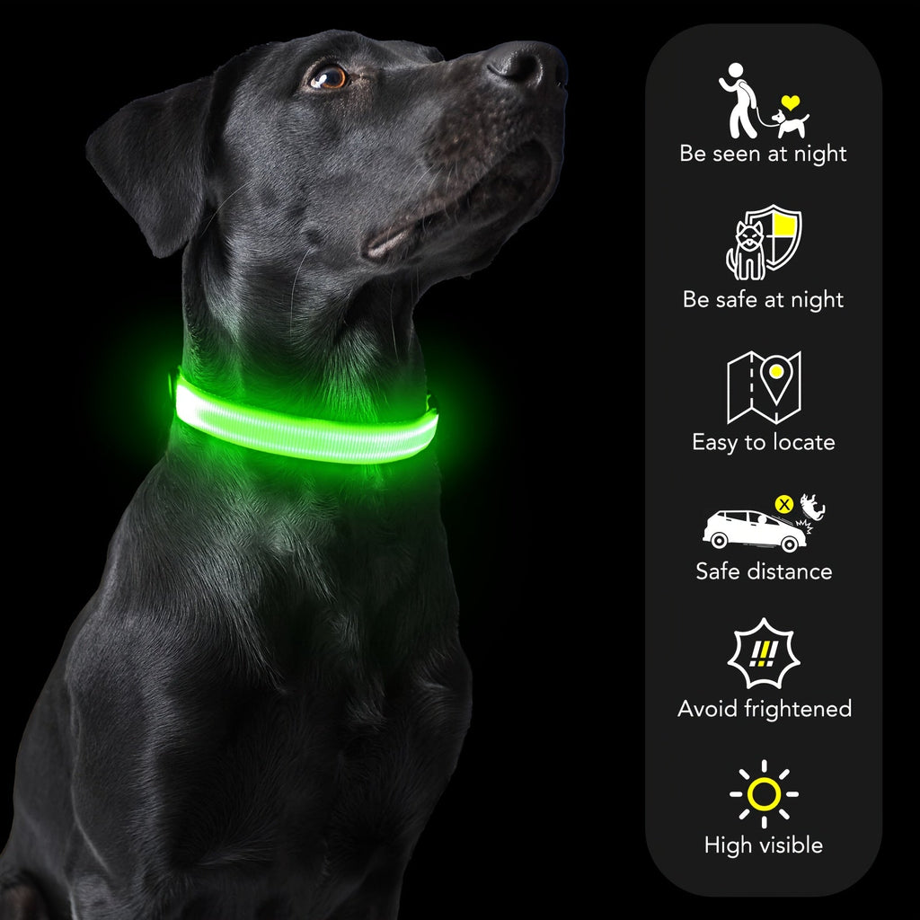 LED Dog Collar Light Up USB Rechargeable - Adjustable Nylon Glow Safety Collar with D-Ring Buckle for Small Medium Large Dogs, High Visibility Night Walking Dog Collar