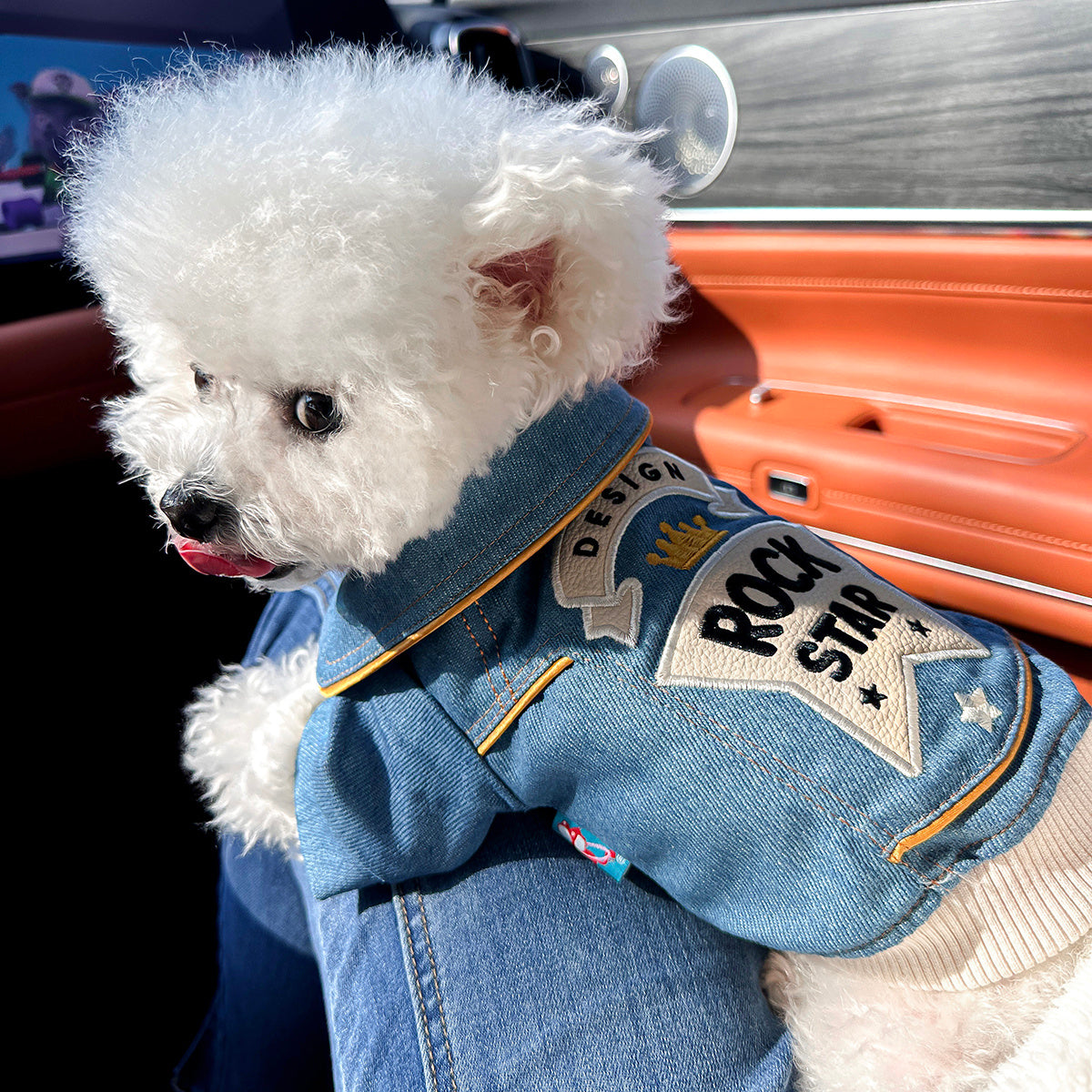Small Dog Denim Outfit Rock Style – Imitation Denim Casual Fashion Pet Clothes for Small Dogs, Comfortable Streetwear Jacket XS to XL, Blue Trendy Dog Apparel for Daily Wear & Outdoor Outings