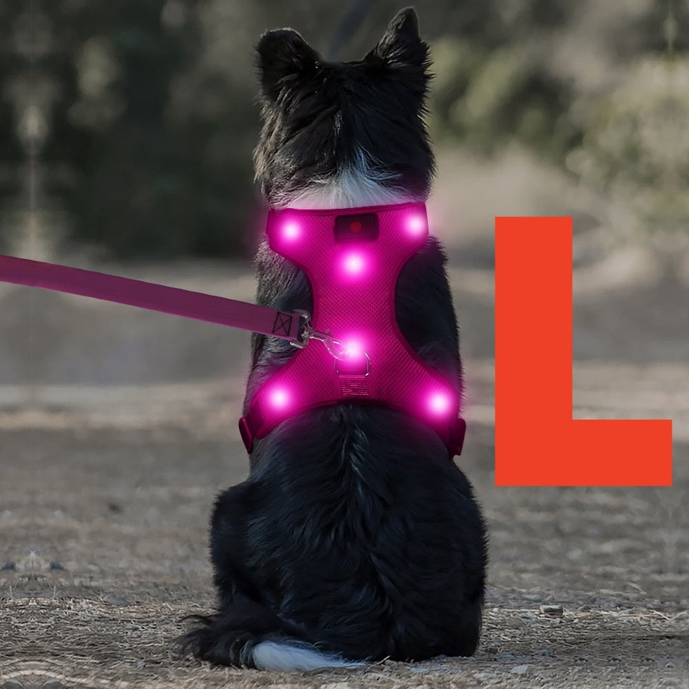 LED Light Up Dog Harness No Pull - Rechargeable Washable Glowing Dog Vest Harness with Detachable Battery for Safe Night Walking and Camping, 4 Colors & Sizes S M L for Small Medium Large Dogs