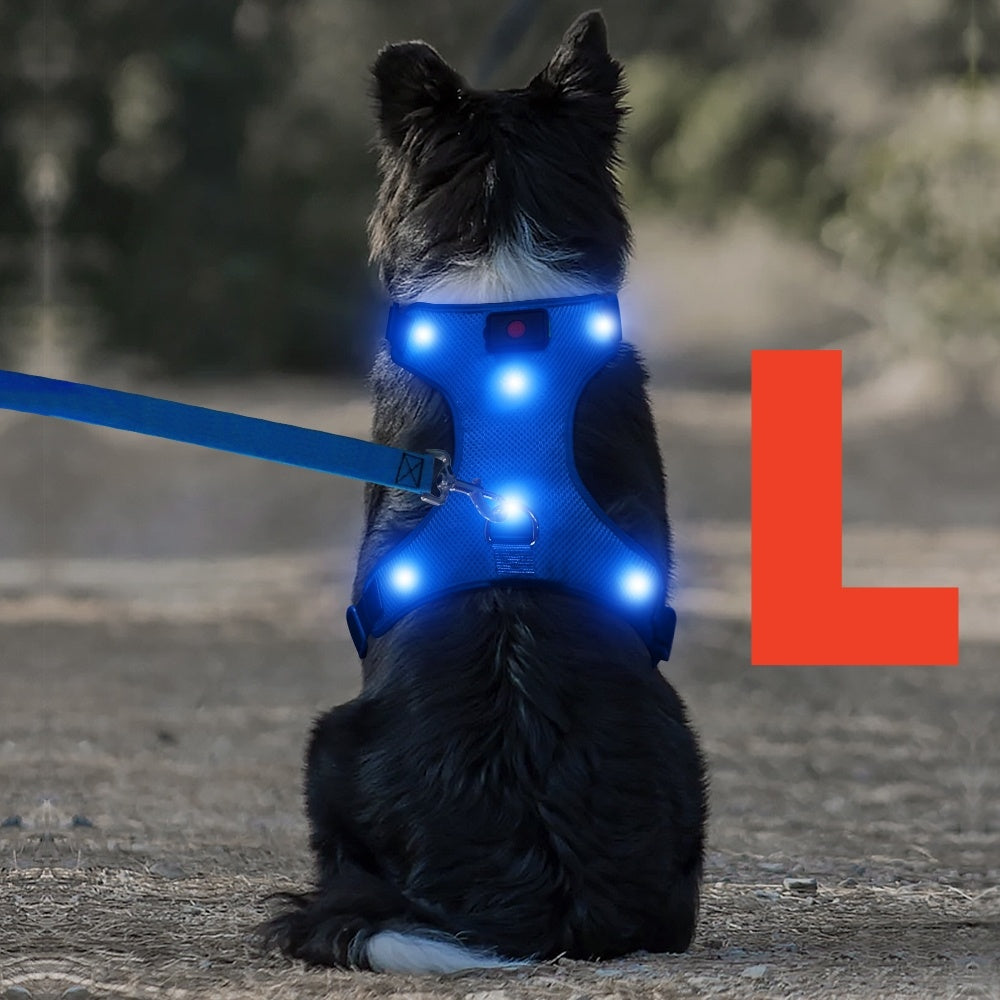 LED Light Up Dog Harness No Pull - Rechargeable Washable Glowing Dog Vest Harness with Detachable Battery for Safe Night Walking and Camping, 4 Colors & Sizes S M L for Small Medium Large Dogs