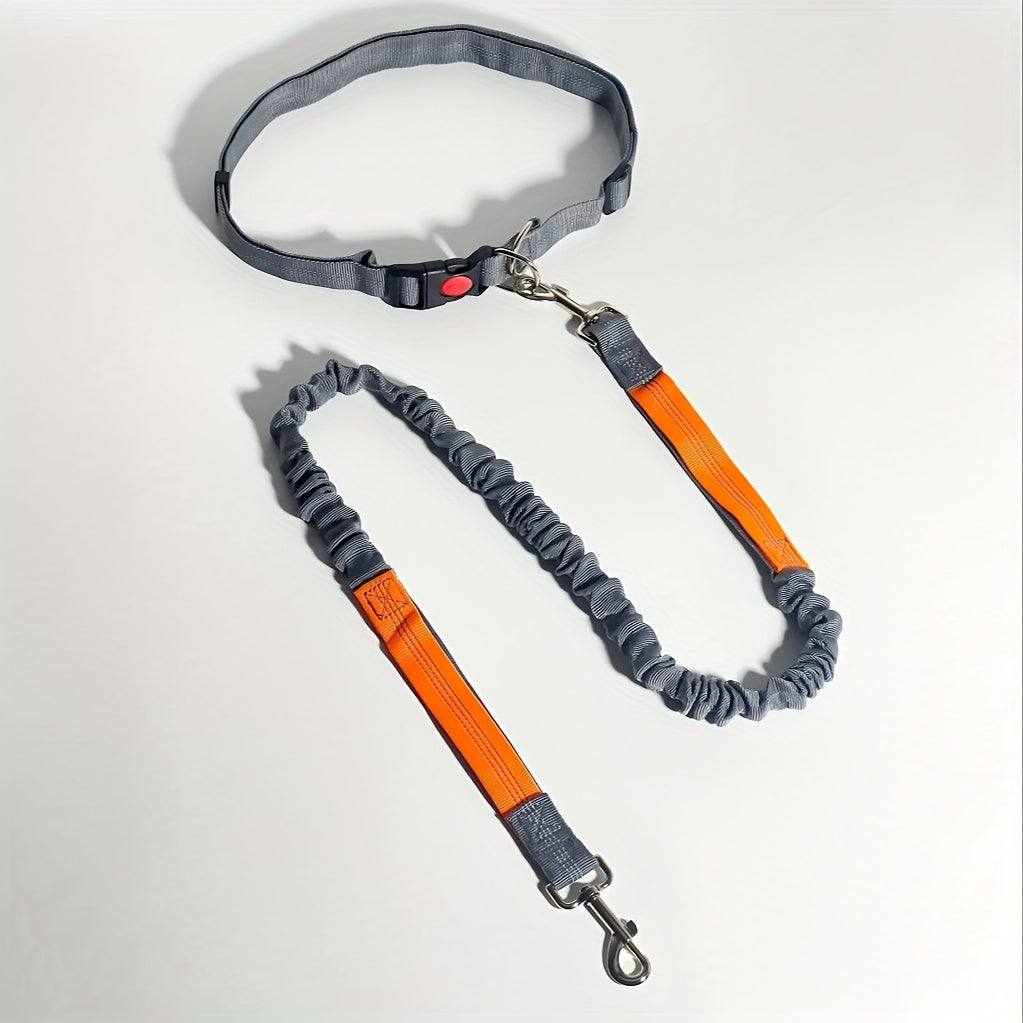 Bungee Dog Leash for Running – Hands-Free Stretch Running Rope for Outdoor Sports & Dog Walking, Multi-Functional Elastic Dog Lead with Shock Absorption, 5 Colors for Active Dog Owners