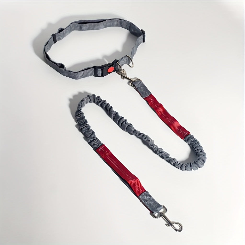 Bungee Dog Leash for Running – Hands-Free Stretch Running Rope for Outdoor Sports & Dog Walking, Multi-Functional Elastic Dog Lead with Shock Absorption, 5 Colors for Active Dog Owners