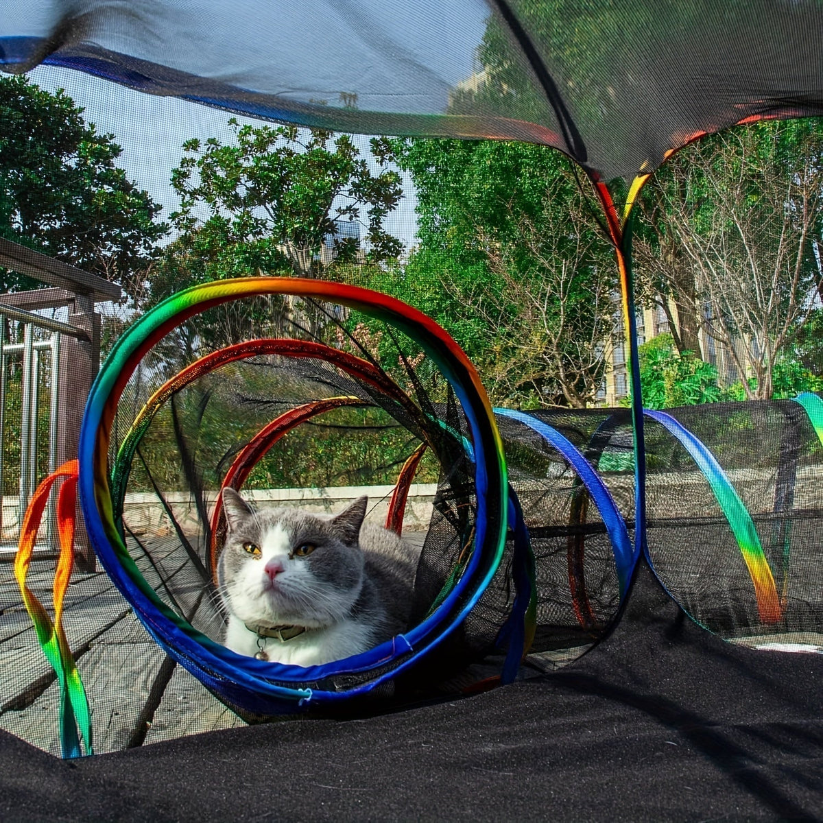 Rainbow Cat Playpen Outdoor Cat Enclosure with Circle Tunnel and Portable Pop-Up Tent, Foldable Cat Playground for Cats Kittens and Small Animals Indoor Outdoor Use