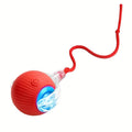 Electric Cat Toy Ball with Tail Rope - USB Rechargeable Self-Moving Rolling Robot Mouse for Indoor Cats & Kittens, Automatic Interactive Hunting Toy for All Cat Breeds, Boredom Buster Pet Gift