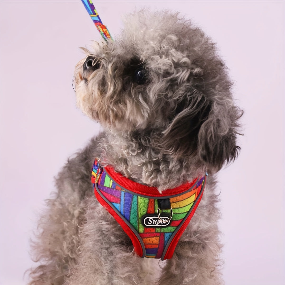 Dog Harness and Leash Set - No Pull Vest Harness for Dogs, Adjustable Reflective Dog Harness for Small Medium Large Dogs, Easy On Off Escape Proof Dog Walking Harness for Indoor Outdoor Use