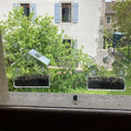 Acrylic Transparent Wall Mounted Bird Feeder Suction Cup Adsorption Window Bird Feeder for Wild Birds Hummingbirds – Clear View Outdoor Bird Watching Feeding Station