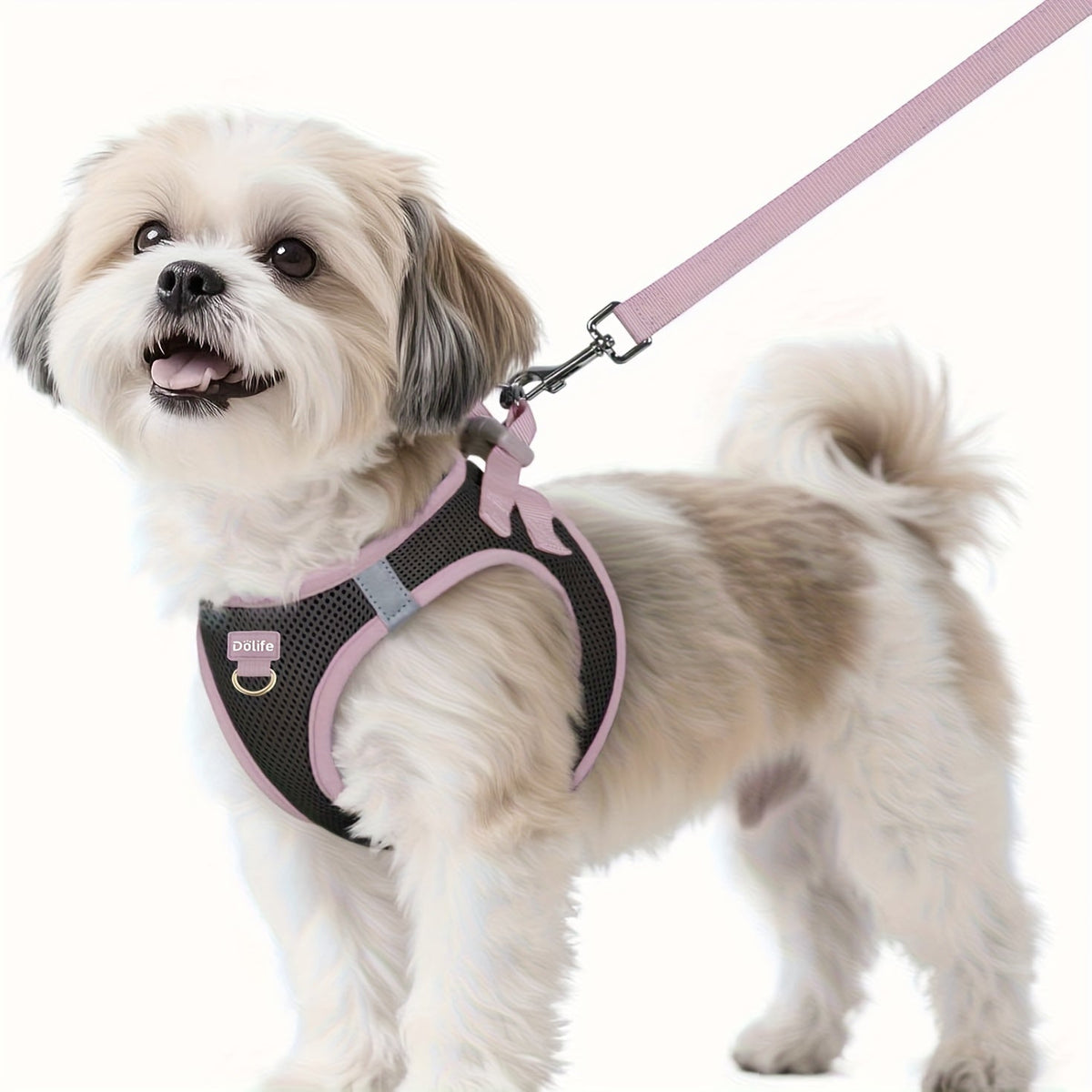 Step-In Dog Harness and Leash Set for Small Dogs - Soft Breathable Puppy Vest Chest Harness with Night Reflective Strips, Machine Washable Easy On Pet Harness for Small Breeds