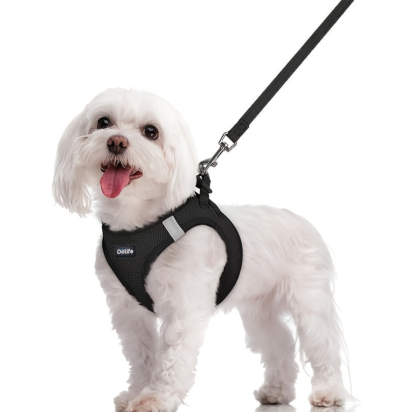 Step-In Dog Harness and Leash Set for Small Dogs & Puppies - Breathable Mesh Reflective Soft Lightweight No-Pull Pet Vest Harness with Matching Leash XS S M L XL
