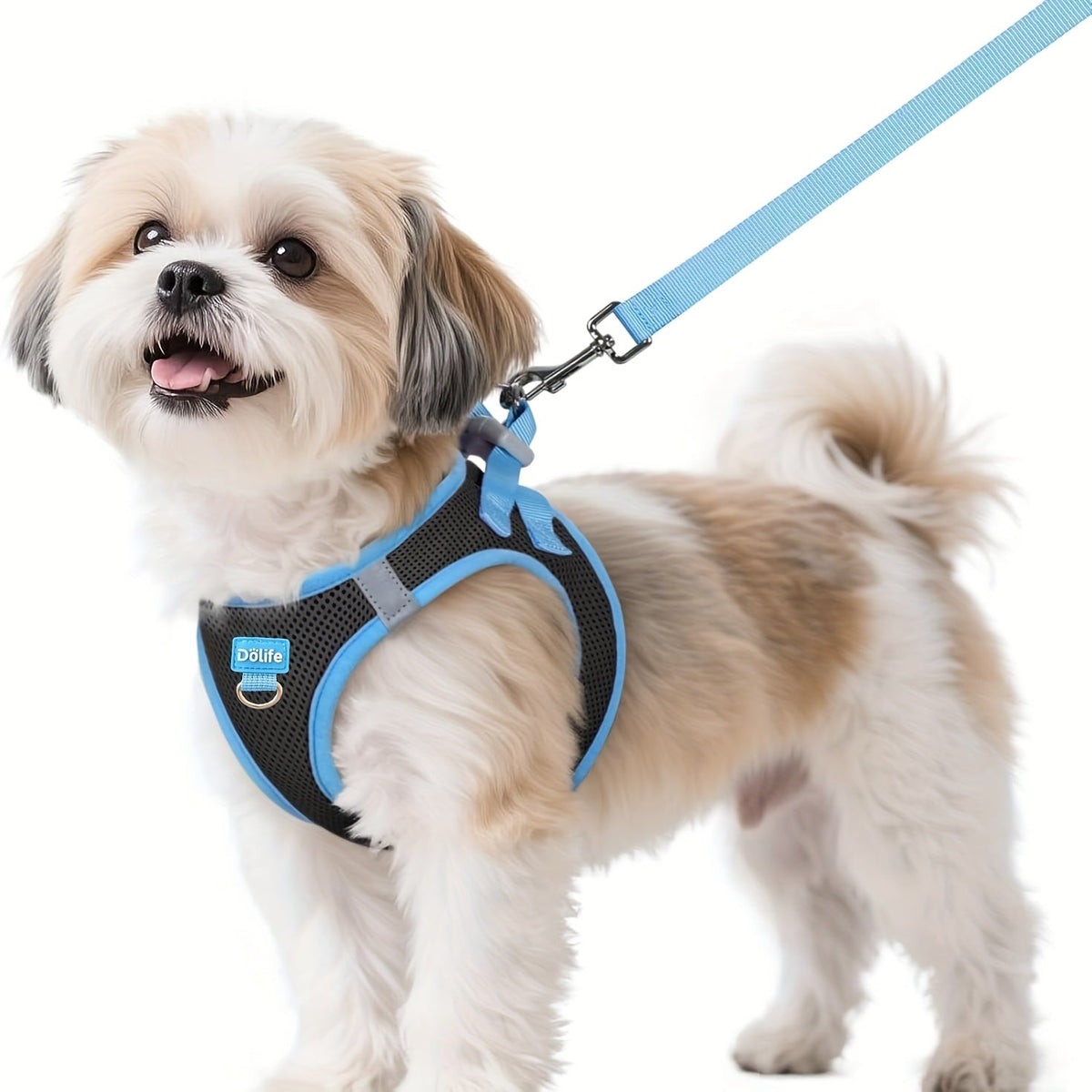 Step-In Dog Harness and Leash Set for Small Dogs - Soft Breathable Puppy Vest Chest Harness with Night Reflective Strips, Machine Washable Easy On Pet Harness for Small Breeds