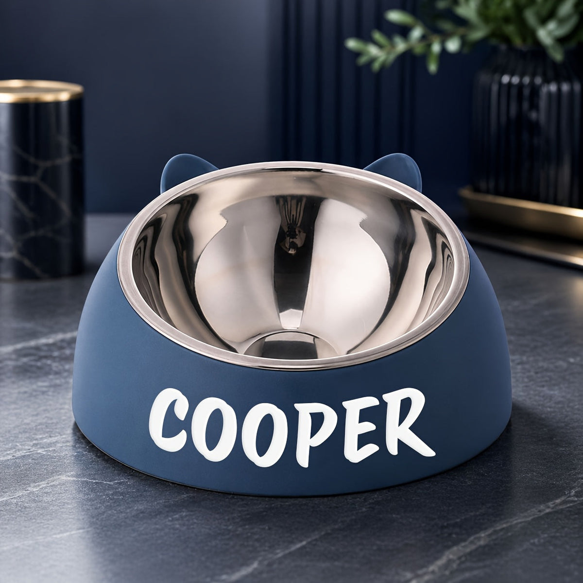 Personalized Stainless Steel Tilted Pet Bowl for Cats and Dogs Custom Name Ergonomic Neck Protection Food Water Bowl Great Gift for Pets Small Medium Large