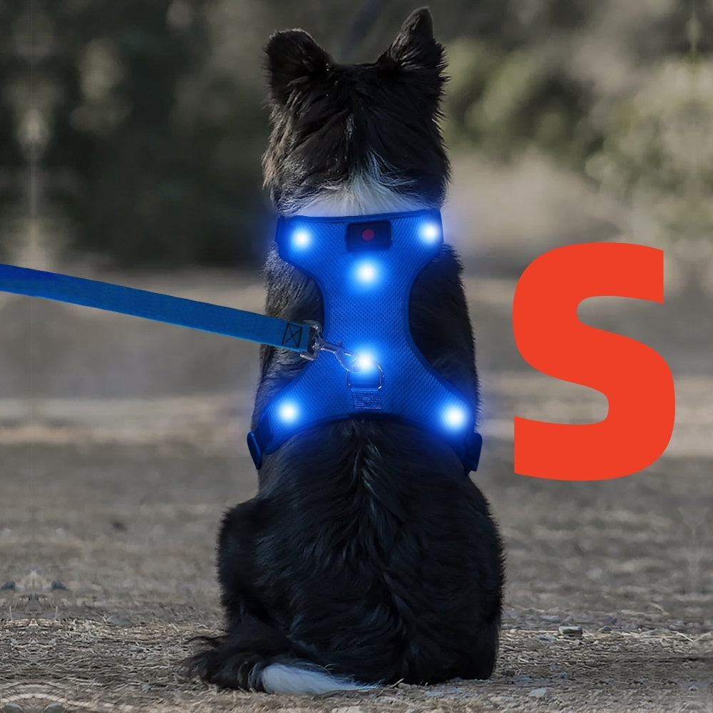 LED Light Up Dog Harness No Pull - Rechargeable Washable Glowing Dog Vest Harness with Detachable Battery for Safe Night Walking and Camping, 4 Colors & Sizes S M L for Small Medium Large Dogs