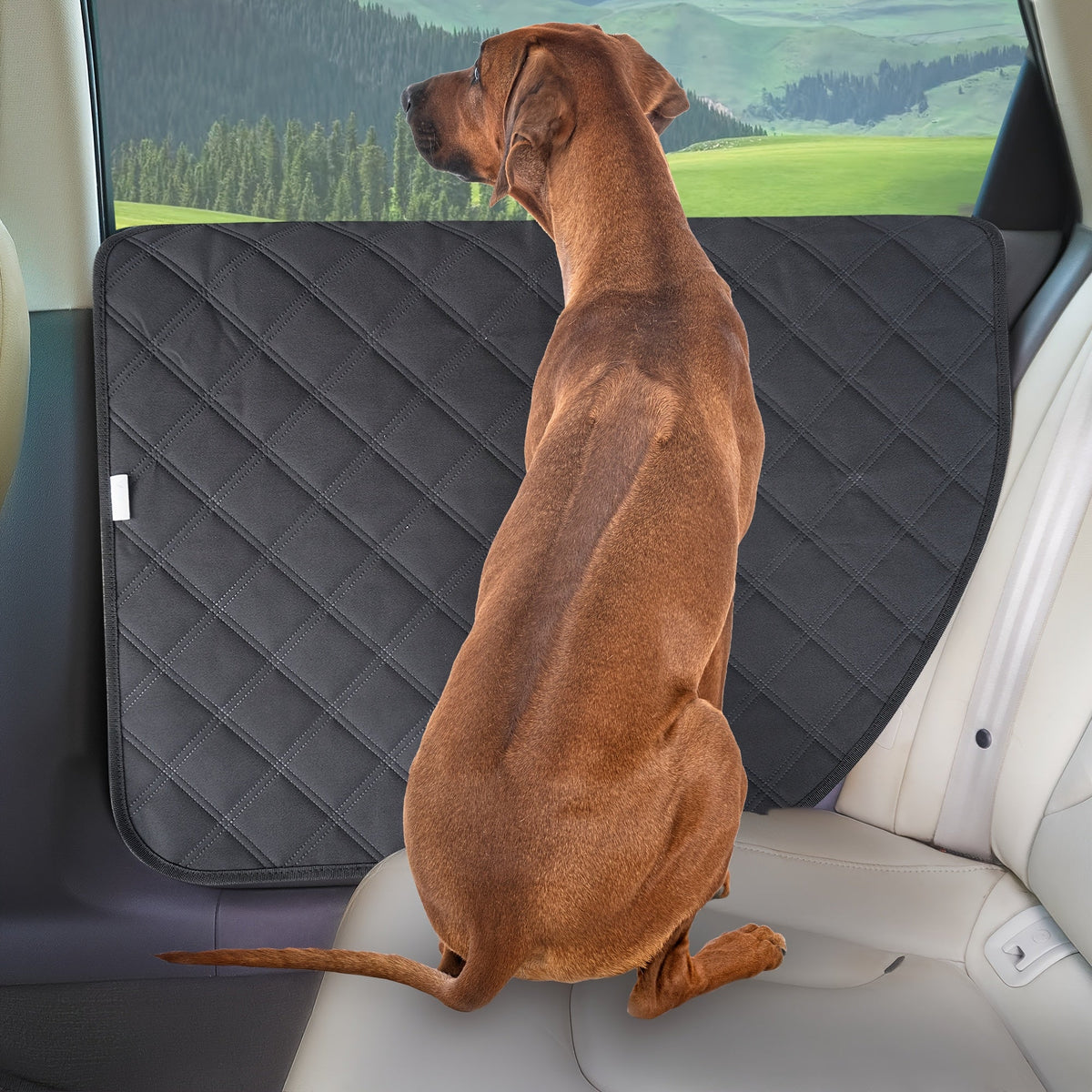 Dog Scratch Protection Car Door Protector 2 Pack - Stain-Resistant Pet Door Guard Cover for Car Truck SUV Interior, Easy Install Anti-Scratch Dog Door Panel Shield, Black