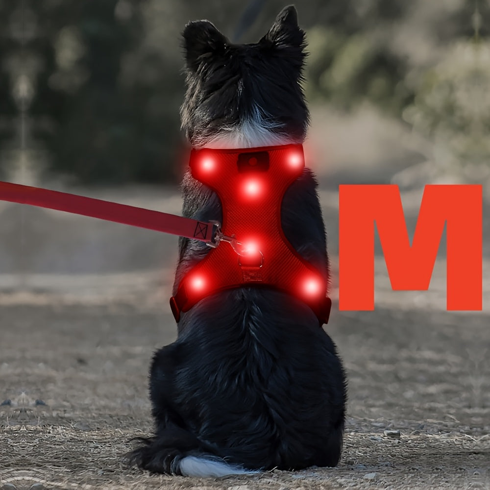 LED Light Up Dog Harness No Pull - Rechargeable Washable Glowing Dog Vest Harness with Detachable Battery for Safe Night Walking and Camping, 4 Colors & Sizes S M L for Small Medium Large Dogs