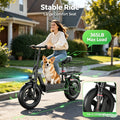 749W 48V Electric Scooter for Adults 25 MPH 28-Mile Range – 14" Fat Tire Commuter E-Scooter with 15Ah Battery, Cargo Box & Storage Basket, Dual Brakes & Suspension, City & Off-Road Riding (SYLVIA GT10/GT11)