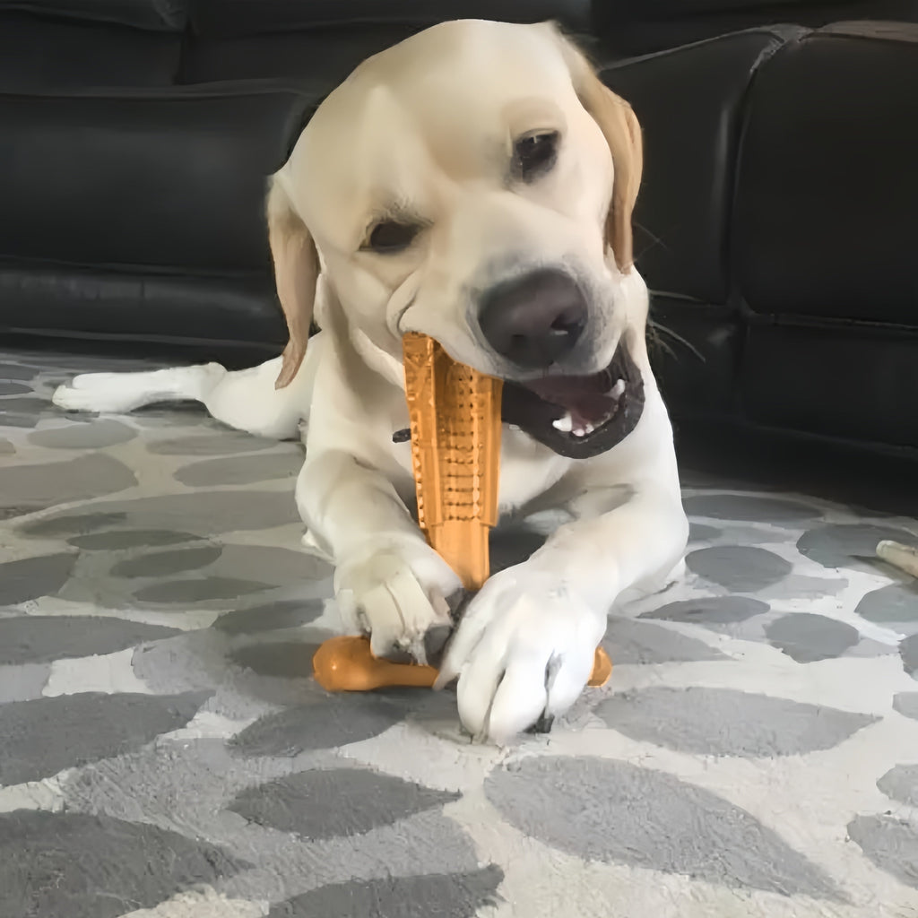 Durable Dog Chew Toy T-Shape – Non-Breakable Textured Gum Toy with Ergonomic Grip for Aggressive Chewers, Puppies & Adult Dogs, Tough Plastic Teeth Cleaning Chew