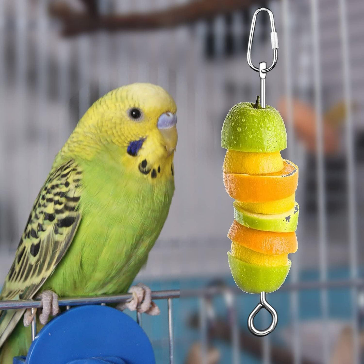 Stainless Steel Parrot Fruit Vegetable Skewer Feeder for Bird Cage - Food Holder Foraging Toy with Carabiner Clip for Parakeet Budgie Cockatiel Conure Macaw - Bird Cage Feeding Accessory 10 inch