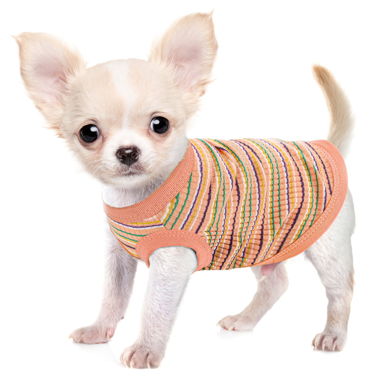 Pink Striped Ribbed Dog Vest Tank Top for XS and Small Dogs - Soft Sleeveless Pullover All-Season Pet Apparel, Comfortable Casual Dog Tank Top for Toy Breeds and Puppies